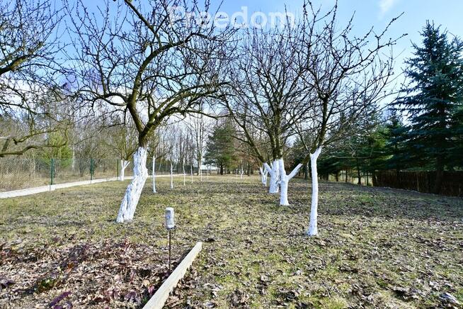 Dom z dużą działką, sadem i własnym lasem