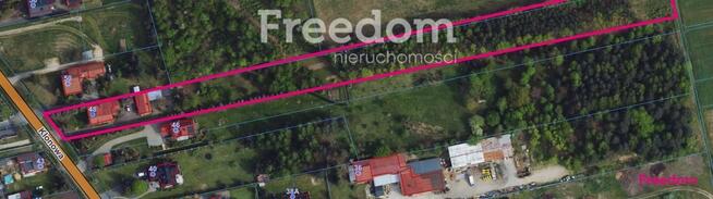 Dom z dużą działką, sadem i własnym lasem