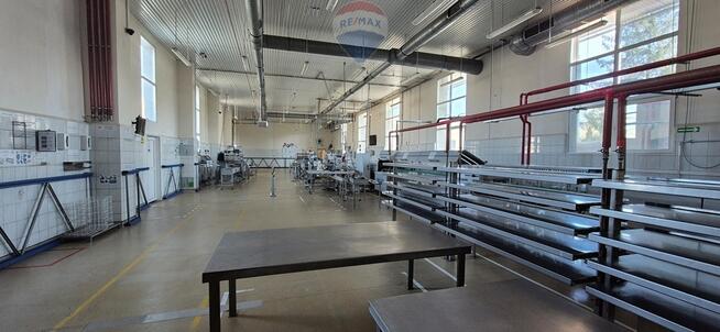 Obiekt produkcyjny, przemysłowy Brzeg