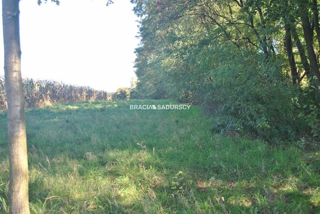 Działka rolna Gdów, Grzybowa