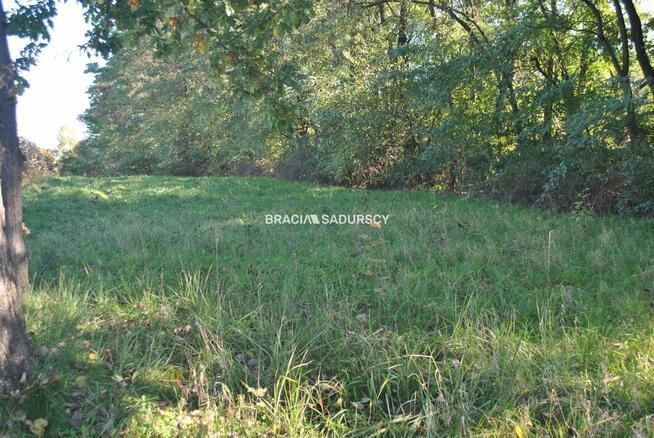 Działka rolna Gdów, Grzybowa