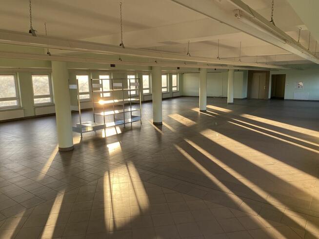 lokal 382 m kw. ,położony na pierwszym piętrze budynku