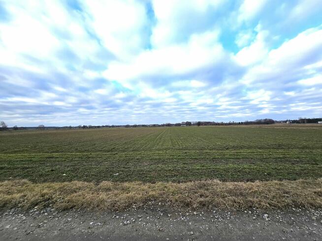 Działki w Skrobowie, gm. Lubartów