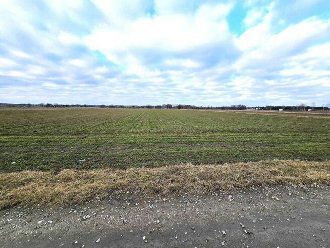 Działki w Skrobowie, gm. Lubartów