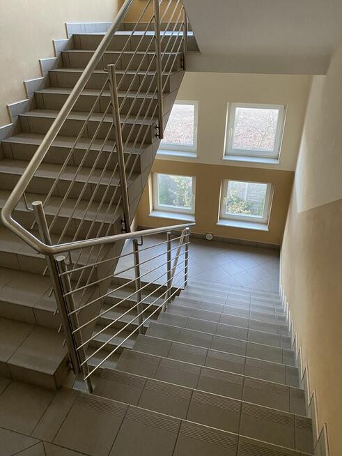 lokal 382 m kw. ,położony na pierwszym piętrze budynku