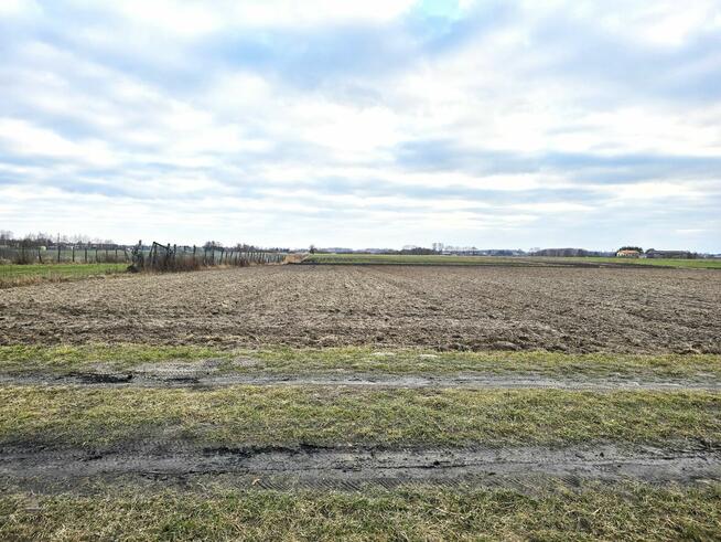 Działki w Skrobowie, gm. Lubartów