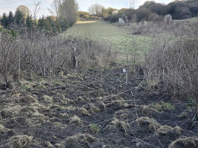 Dąbie, działka budowlana w drugiej linii zabudowy
