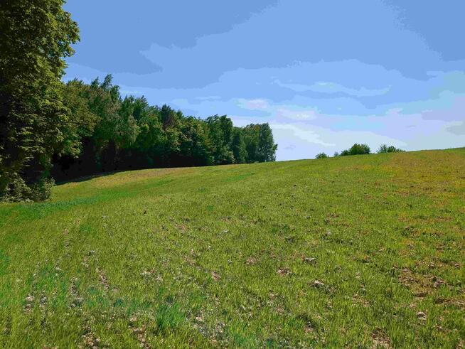 Nieruchomość gruntowa od syndyka - Węgliska