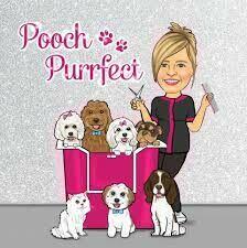 salon pielęgnacji psów DAISY .fryzjer dla psów, groomer