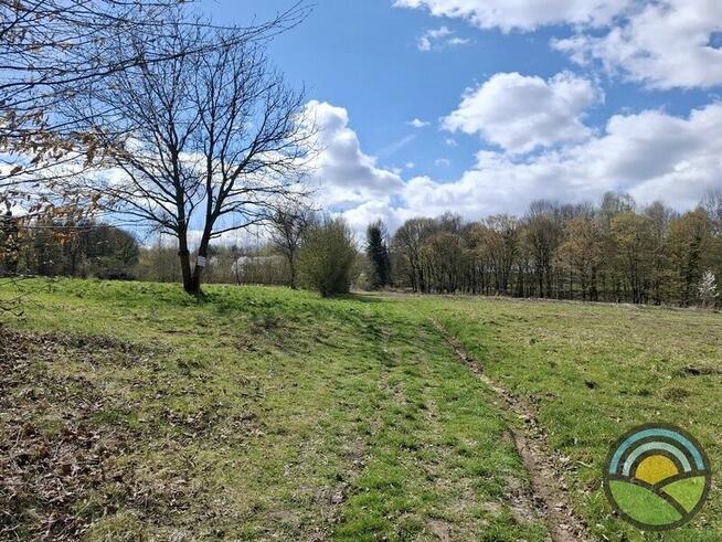 Aleksandrowice gm. Zabierzów - działka rolna 54ar k/ lasu !