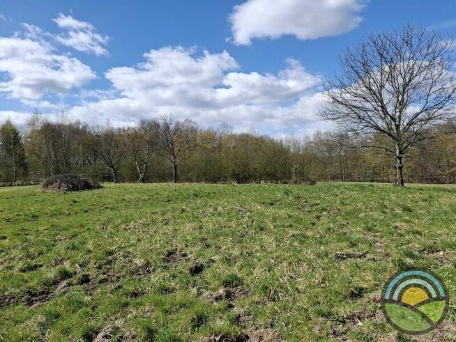 Aleksandrowice gm. Zabierzów - działka rolna 54ar k/ lasu !