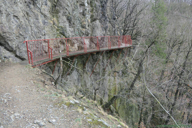 OBOZY WĘDROWNE DLA MŁODZIEŻY 2026 - WYBIERZ POZIOM