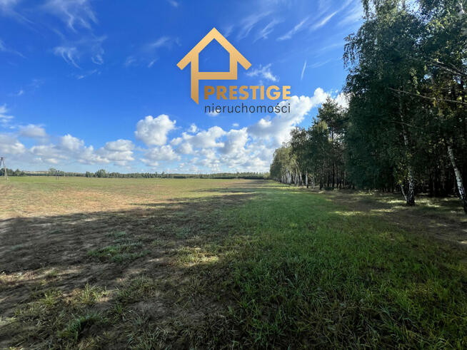 Działki budowlane na osiedlu Leśny Zakątek