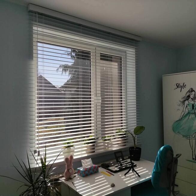 Żaluzje drewniane, bambusowe 50 i 25 mm.