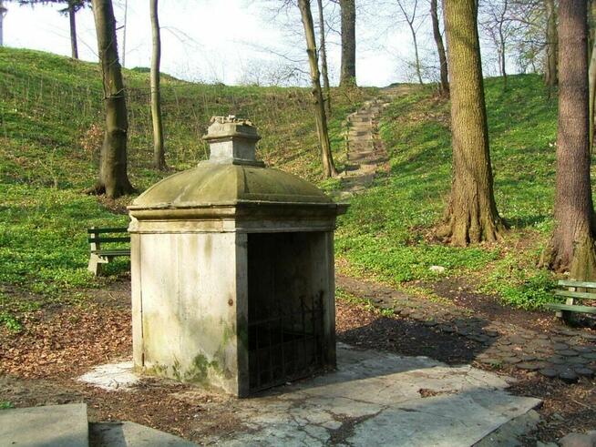 OBOZY WĘDROWNE DLA MŁODZIEŻY 2026 - WYBIERZ POZIOM