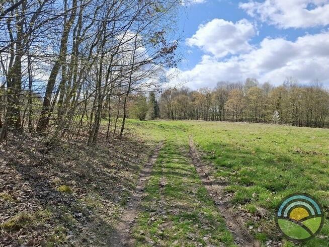 Aleksandrowice gm. Zabierzów - działka rolna 54ar k/ lasu !