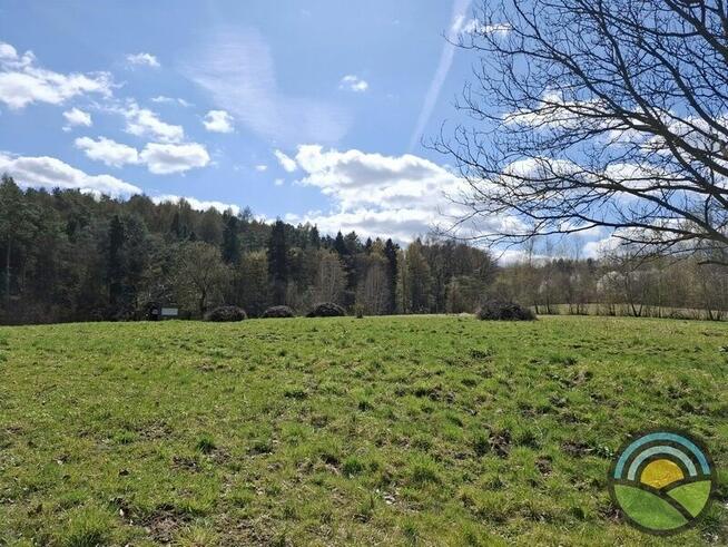 Aleksandrowice gm. Zabierzów - działka rolna 54ar k/ lasu !