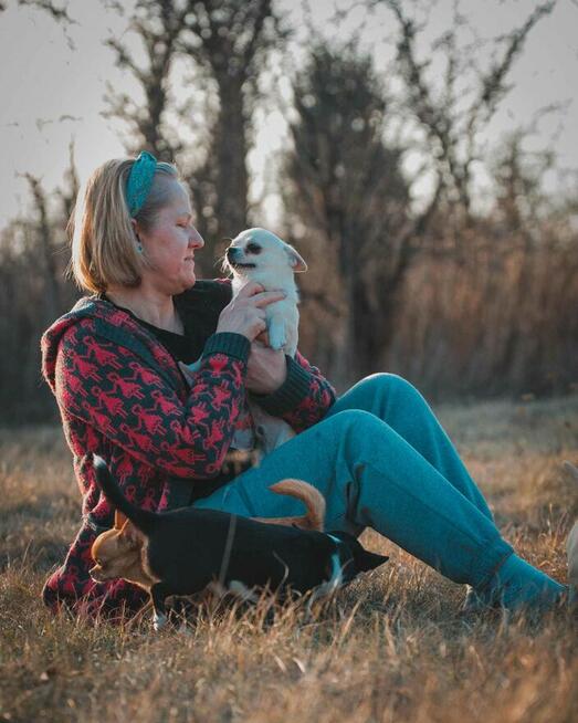 CHIHUAHUA PIESEK i SUCZKA - rodowód FCI, W-wa