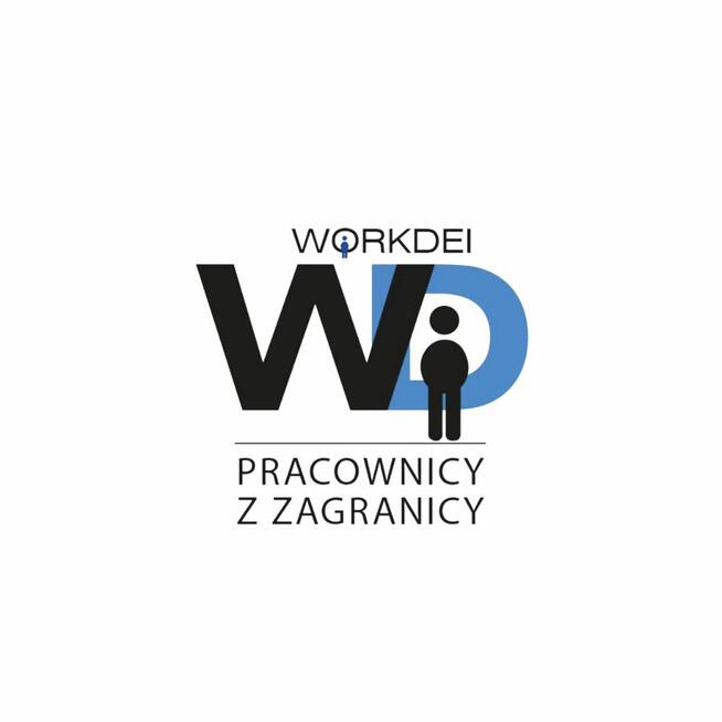 Spawacz 141 TIG praca w Holandii