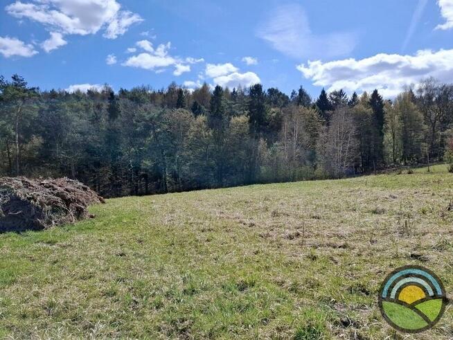 Aleksandrowice gm. Zabierzów - działka rolna 54ar k/ lasu !