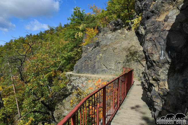 OBOZY WĘDROWNE DLA MŁODZIEŻY 2026 - WYBIERZ POZIOM