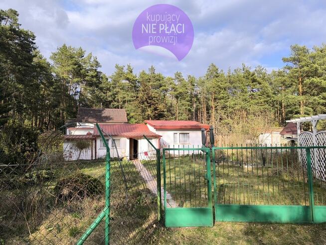 Domek letniskowy w otulinie lasu koło rzeki