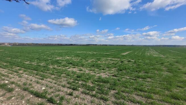 Sprzedaż 1,58 ha - budownictwo mieszkaniowe Opole