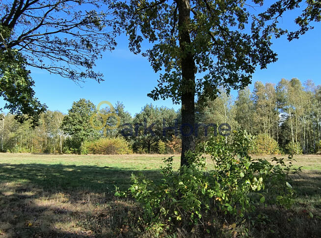 Działka inwestycyjna Suchleb gm. Lipinki Łużyckie,