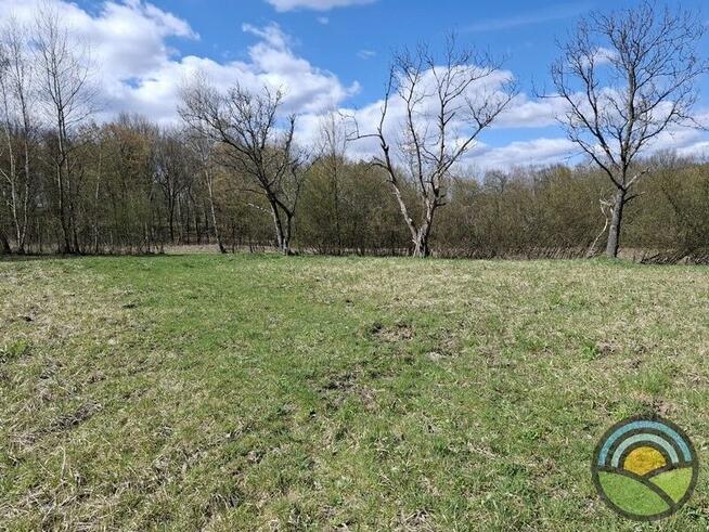 Aleksandrowice gm. Zabierzów - działka rolna 54ar k/ lasu !