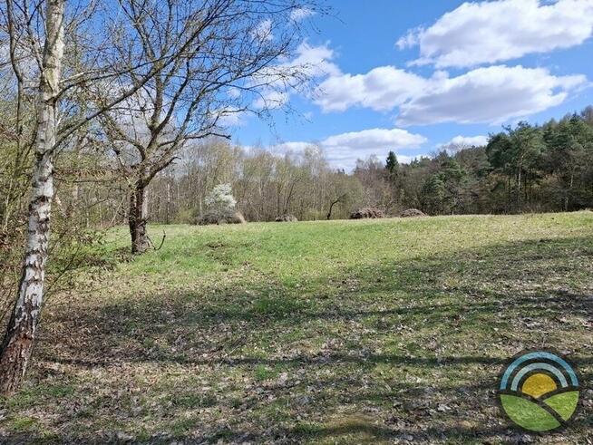 Aleksandrowice gm. Zabierzów - działka rolna 54ar k/ lasu !