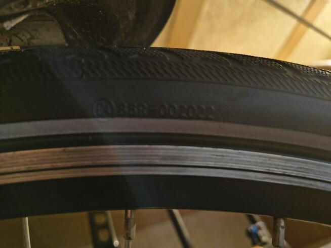 Piękny Bergamot on ona 52 rozmiar alu