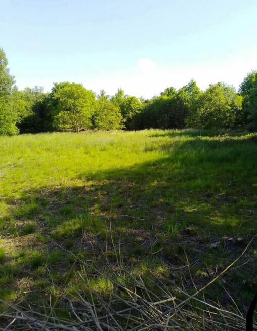 Działka Głuchołazy 20,6ara