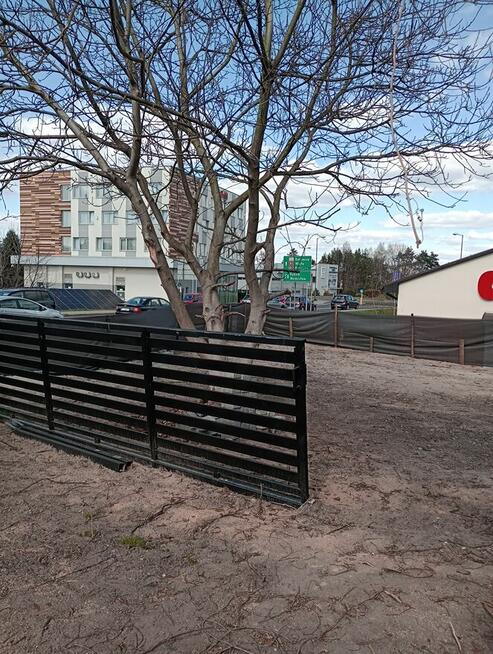 Wynajmę działkę Żory Śródmieście