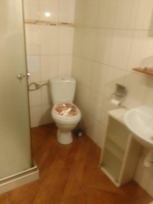 Wynajmę. Mieszkanie