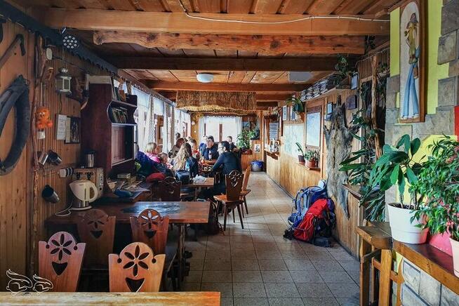 OBOZY WĘDROWNE DLA MŁODZIEŻY 2026 - WYBIERZ POZIOM