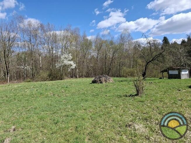 Aleksandrowice gm. Zabierzów - działka rolna 54ar k/ lasu !