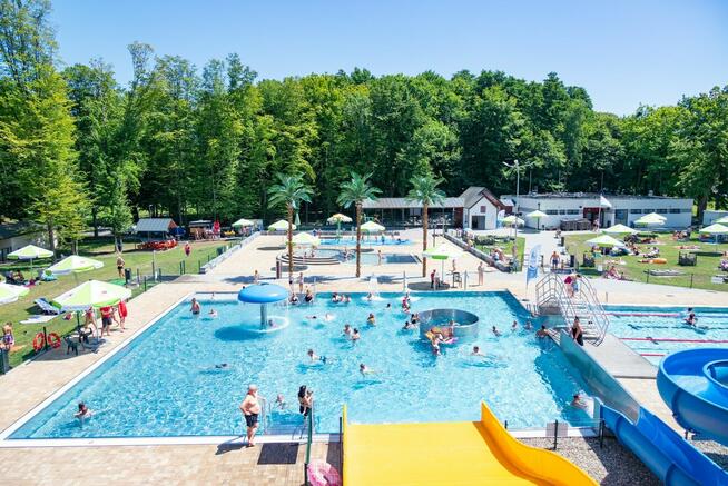 ENERGYLANDIA I SANTAGO - OBÓZ NA JURZE 10-15 lat