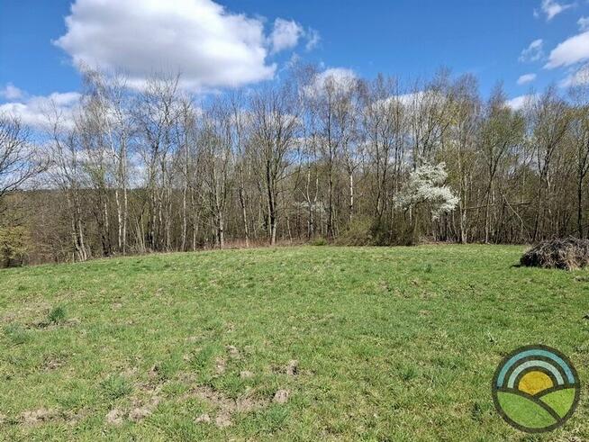 Aleksandrowice gm. Zabierzów - działka rolna 54ar k/ lasu !