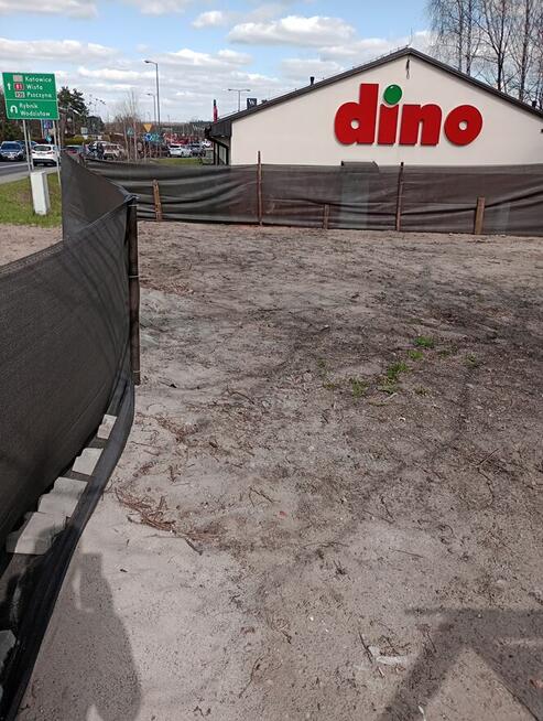 Wynajmę działkę Żory Śródmieście