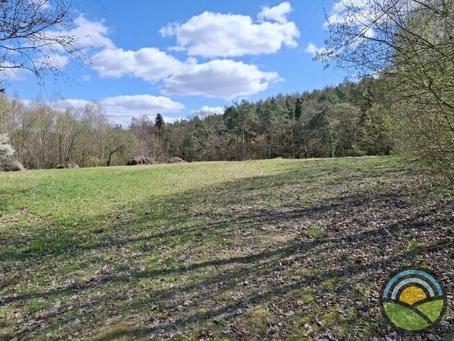 Aleksandrowice gm. Zabierzów - działka rolna 54ar k/ lasu !