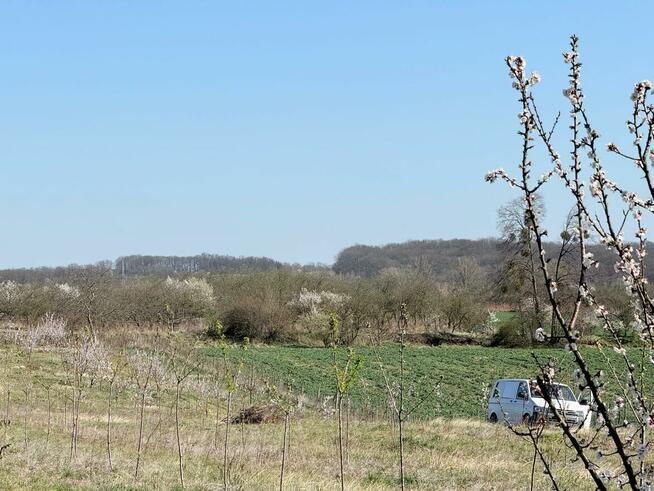 Działka siedliskowa 4344 m2, wydane WZ - Brochocin