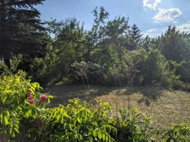 Ogródek działkowy ROD Jelcz 300 m2 + drzewa, kwiaty WROCŁAW