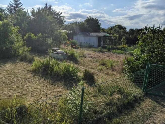 Ogródek działkowy ROD Jelcz 300 m2 + drzewa, kwiaty WROCŁAW