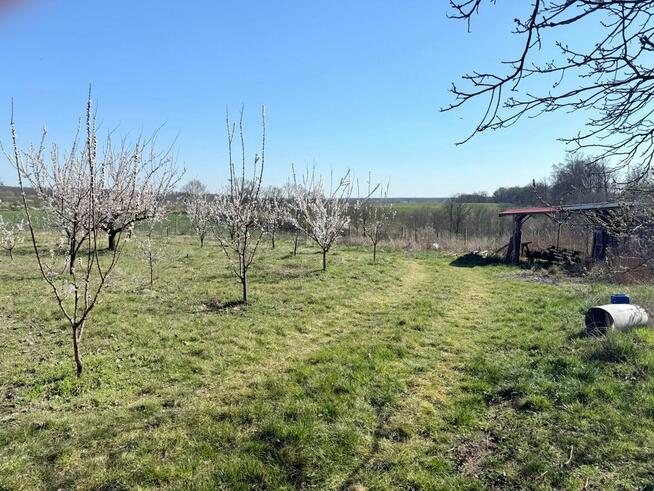 Działka siedliskowa 4344 m2, wydane WZ - Brochocin