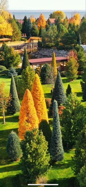 Usługi ogrodnicze / pielęgnacja ogrodów