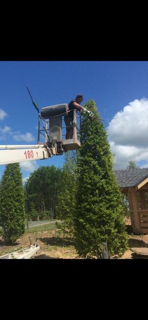 Usługi ogrodnicze / pielęgnacja ogrodów