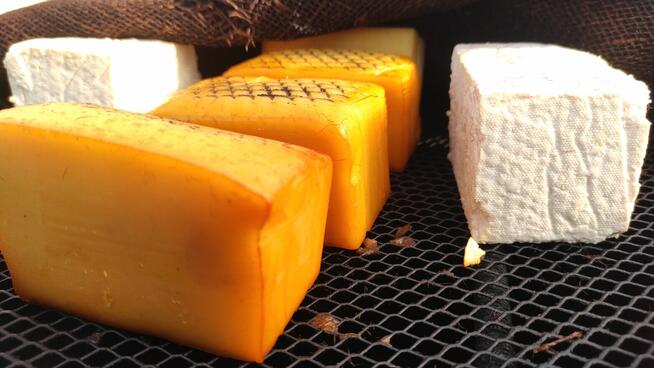 WĘDZARZ szuka pracy na sezon 2026 morze, góry