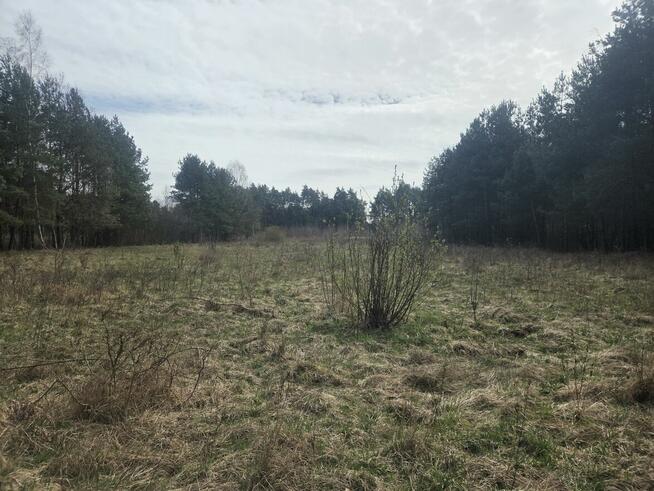 Działka budowlana Wiązowna