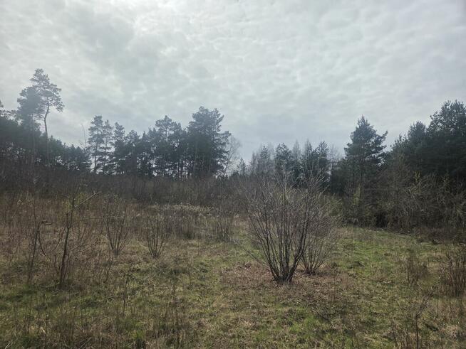 Działka budowlana Wiązowna