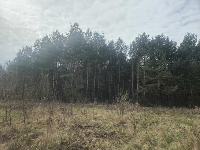 Działka budowlana Wiązowna